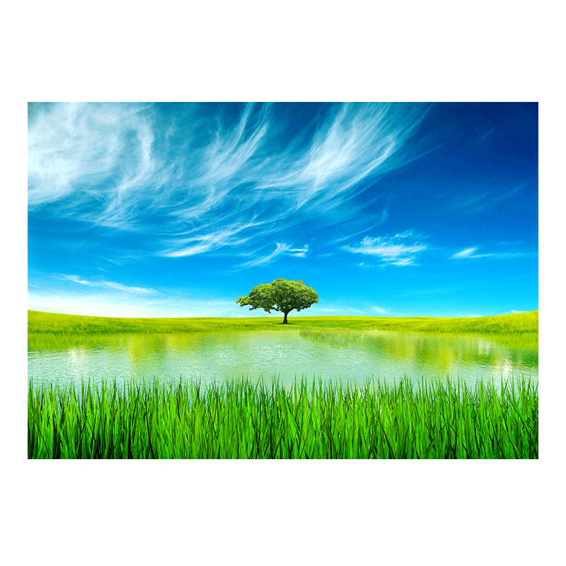 鱼缸背景贴纸画5D立体图高清壁纸水族箱缸外装饰贴画自粘蓝天白云