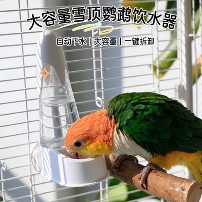 鹦鹉饮水器自动喂水鸽子宠物小鸟用横丝鸟笼玄风撞针芦丁鸡喝水壶