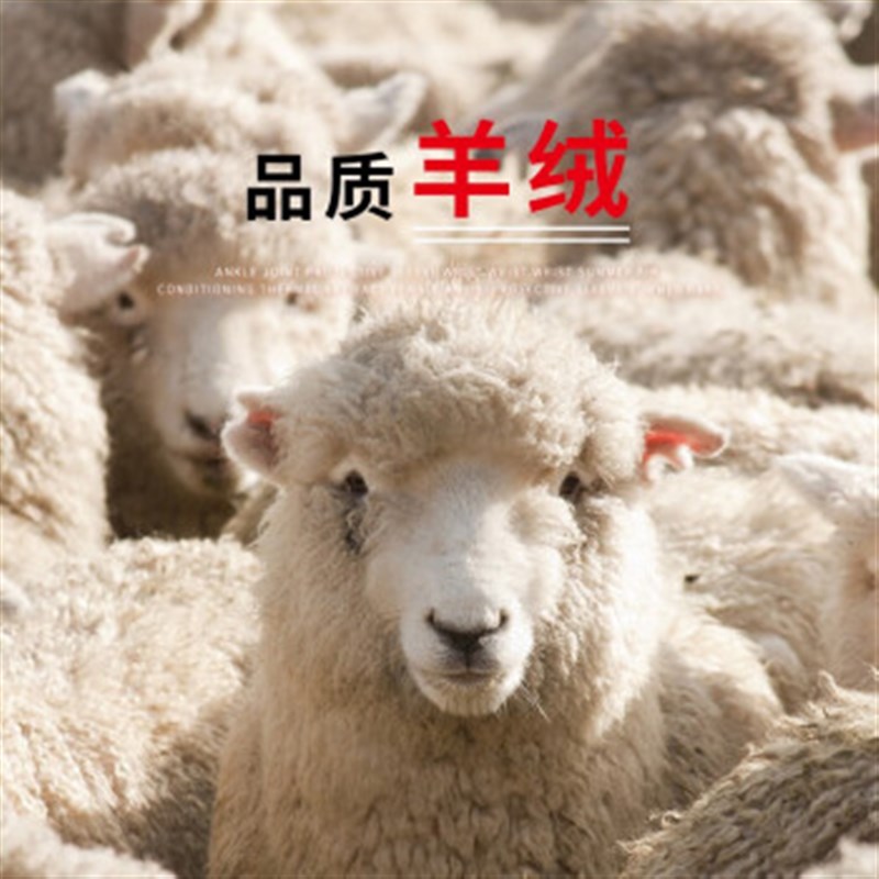 保暖脚踝套女脚脖子防寒关节保护套扭伤专业护具护踝冬Z季脚腕月