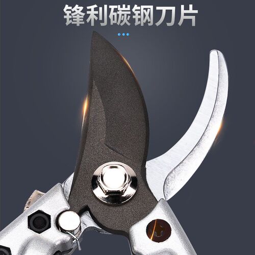 锋利修花修枝剪刀园林工具果树剪子花剪修剪树枝园艺粗枝剪树剪