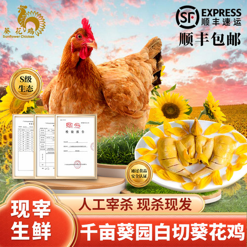 广州正宗南沙葵花鸡（供应白天鹅