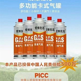 爱博优选250g小气罐卡斯气罐卡式炉气罐便携式气瓶通用小煤气