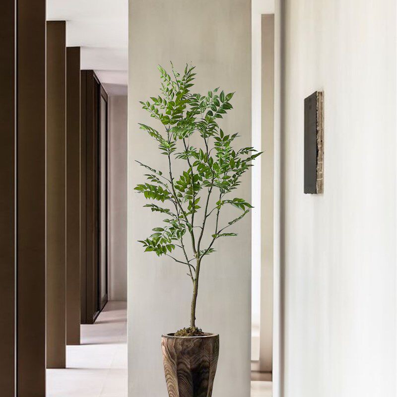 侘寂风绿植落地花器整挖实木桶民宿茶室造景植物装饰品摆件大花瓶