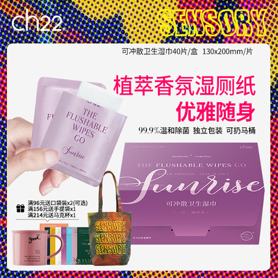 ch22湿厕纸99.9%温和有效除菌