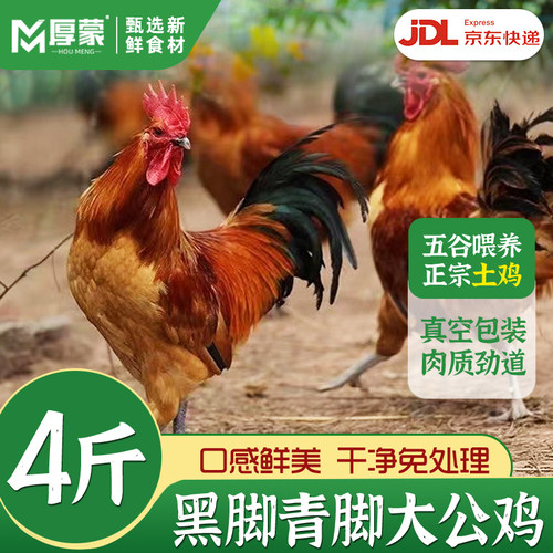 厚蒙大公鸡散养京东冷冻发