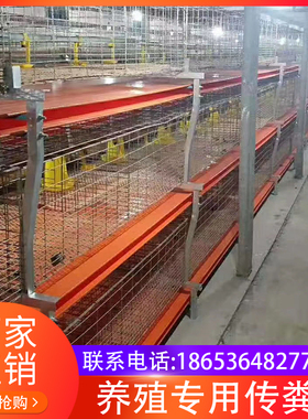 养殖场清粪带鸡用pnvc出粪拖粪带清粪专用传送带养鸡场清粪输送带