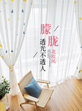 2021年新款透光不透人绣花窗帘C纱防蚊防尘纱帘半遮光透气简约卧