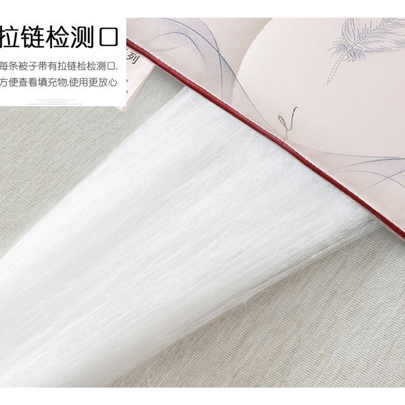 加厚桑丝棉被子冬被保暖冬天棉被芯秋冬季太空被S春秋双人被褥棉,床上用品,化纤被,淘宝优惠券,粉丝福利购,淘宝优惠卷