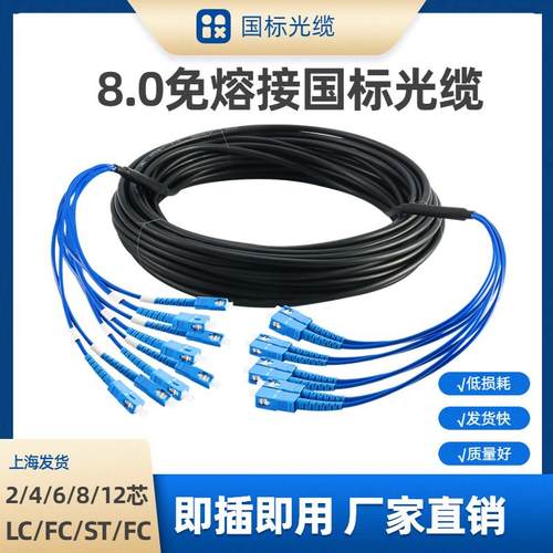 SC-SC国标单模8.0室外成品铠装光缆2/4/6/8芯免熔接户外光纤跳线