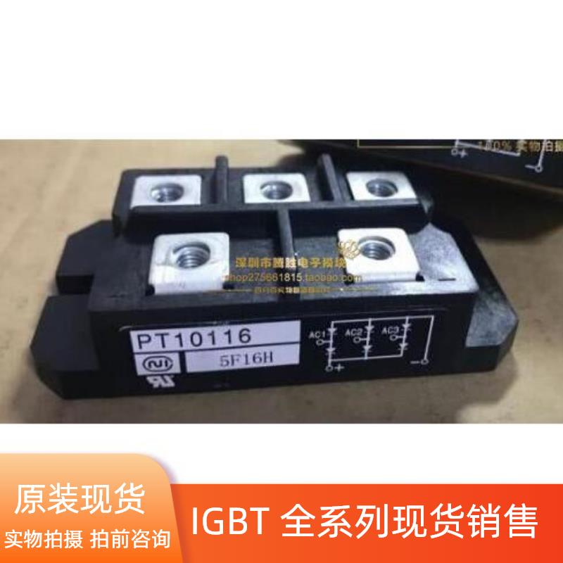 PT10116 PT10116A PT508CF PT5116 PT100S8C PT768M PT76S16A