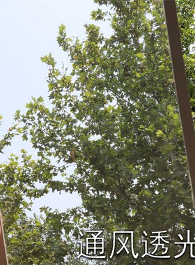 超宽304d不锈钢纱窗网自装家用窗户防蚊防虫窗纱网防鼠猫隐形沙窗