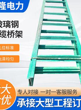 玻璃钢梯式桥架厂家生产大跨距防火阻燃室外200x00配线槽支架