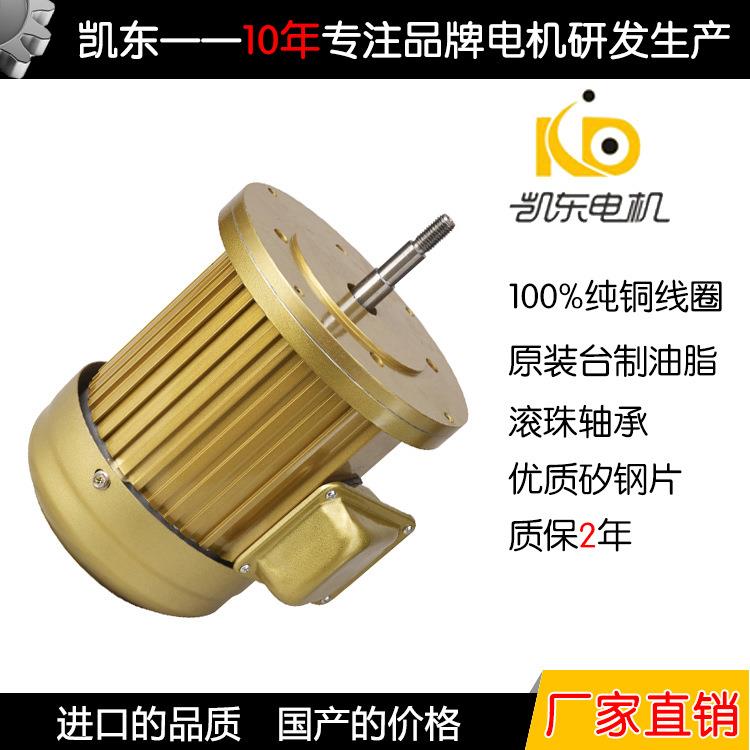 厂家非标化工机械设备三相异步电电动机
