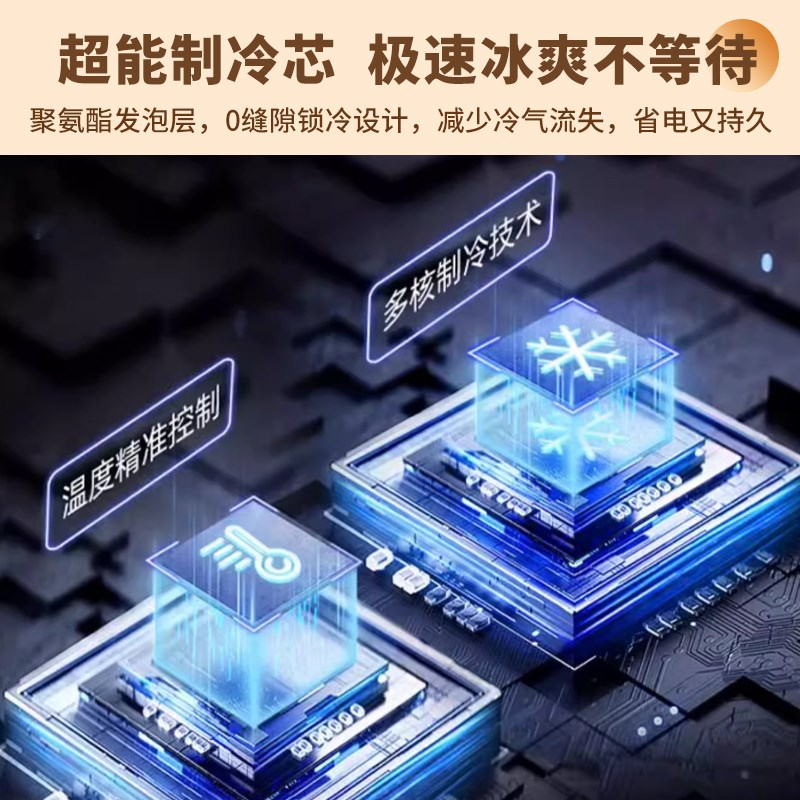 SAST车载20L迷你小冰箱12v车家两用小型冷藏化妆品母乳宿舍单人用