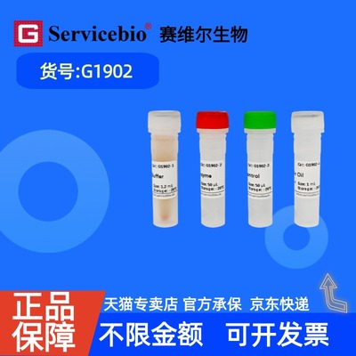 现货 赛维尔生物Servicebio 一步法快速支原体检测试剂盒(等温扩增法) G1902 50rxns 科研实验