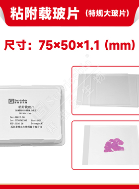 现货 赛维尔生物Servicebio 粘附载玻片（石蜡切片）（特规大玻片） G6017-20 20片/盒 科研实验