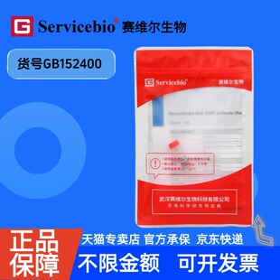 现货 Recombinant Anti-Lamin A+Lamin C antibody (Mouse mAb) GB152400 100ul 科研生物实验抗体赛维尔生物