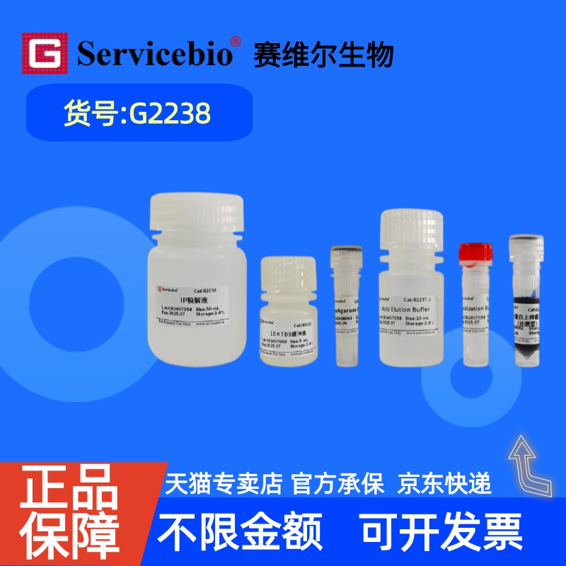 现货 赛维尔生物Servicebio 蛋白免疫沉淀试剂盒（Protein A/G琼脂糖凝胶法） G2238 50T 科研实验