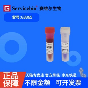 现货 赛维尔生物Servicebio GN100bp DNA Ladder I G3365 500μL 5×500μL 科研实验