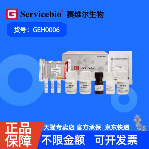 现货  赛维尔生物Servicebio Human IFN-gamma ELISA试剂盒 GEH0006 48T 96T 科研实验