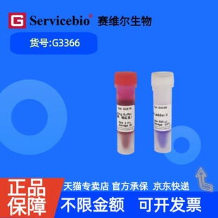 现货 赛维尔生物Servicebio GN100bp DNA Ladder II G3366-01 500μL 5 x 500μL 科研实验