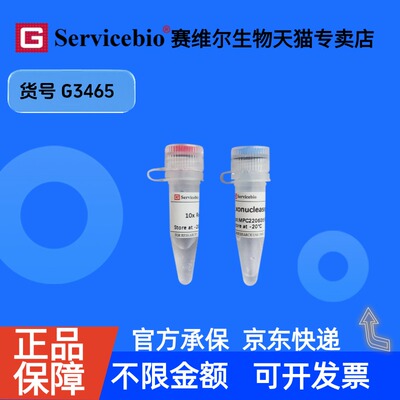现货 Exonuclease III（E.coli） 5000U G3465 赛维尔生物Servicebio 科研实验 重组蛋白/酶