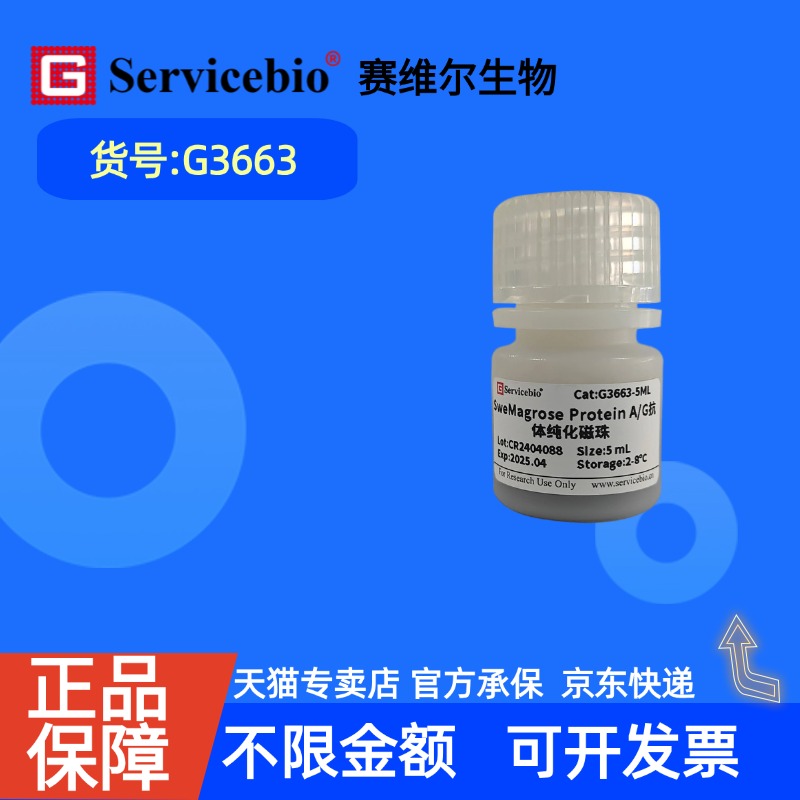 现货 赛维尔生物Servicebio SweMagrose Protein A/G抗体纯化磁珠 G3663 1mL 5mL 科研实验