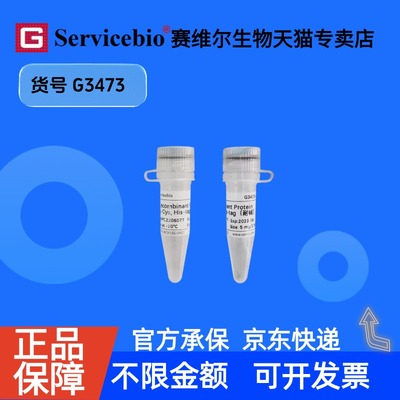 现货 Recombinant Protein A-Cys, His-tag（耐碱） 10mg G3473 赛维尔生物Servicebio重组蛋白/酶 抗体纯化