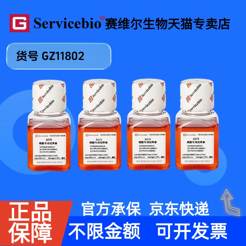 现货 A375细胞专用培养基 125mL×4 GZ11802 赛维尔生物Servicebio 科研实验 细胞生物学
