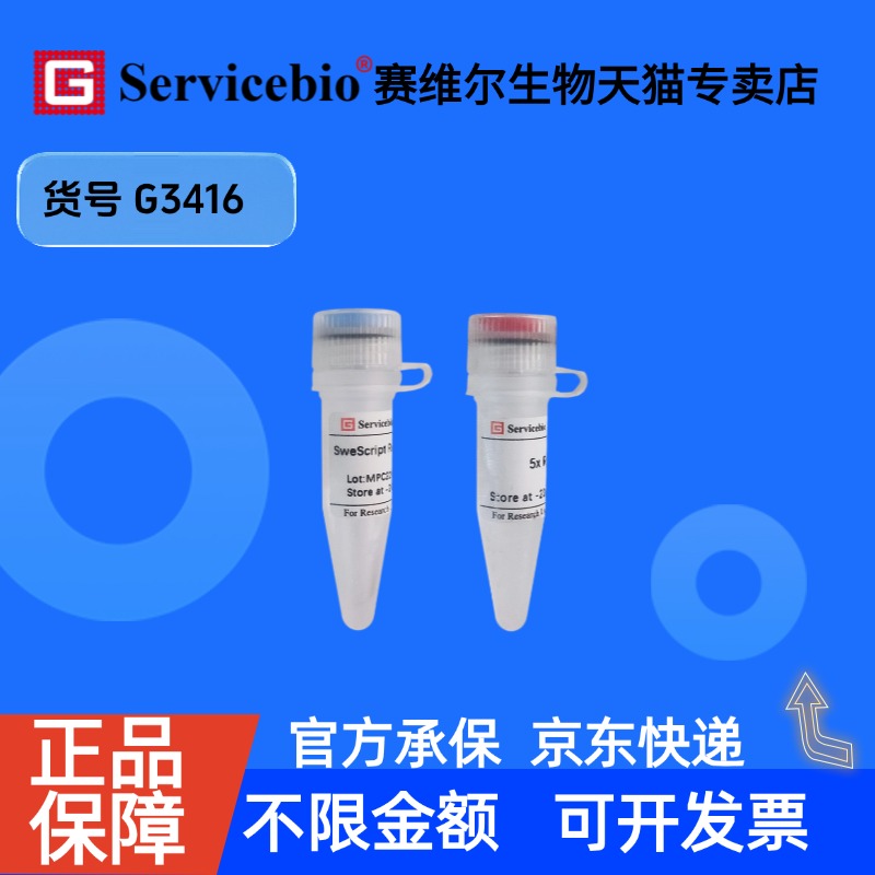 现货 SweScript Reverse Transcriptase II 10KU G3416 赛维尔生物Servicebio 科研实验 重组蛋白/酶