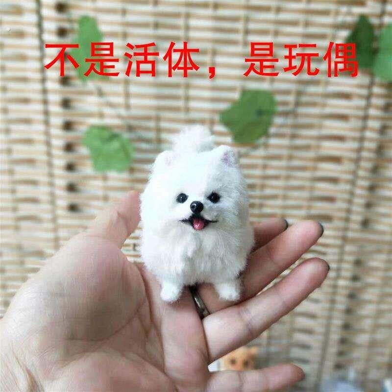 博美摆件成品扭棒定制博美可爱玩偶狗狗留纪念送闺蜜生日礼物挂件