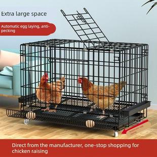 鸡鸭笼子家用铁笼养鸡笼大号大空间折叠笼母鸡公鸡家禽专用养殖笼