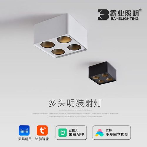 明装斗胆灯智能调光客厅灯餐厅灯吸D顶无主灯四头led防眩筒灯射灯