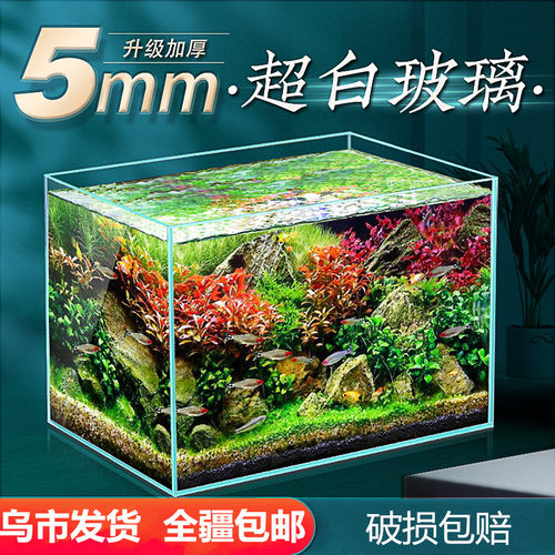 只发新疆水族超白玻璃鱼缸桌面客厅生态超清缸造景T懒人养鱼水草