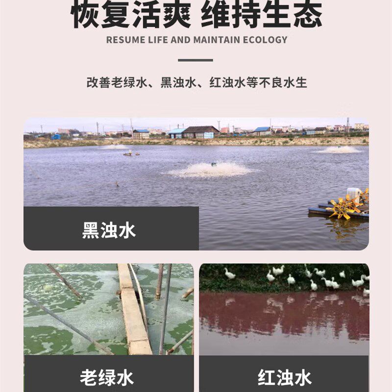 水产养殖鱼药亚硝净m降氨氮净水鱼塘虾蟹塘降解亚硝酸盐调水硝氨
