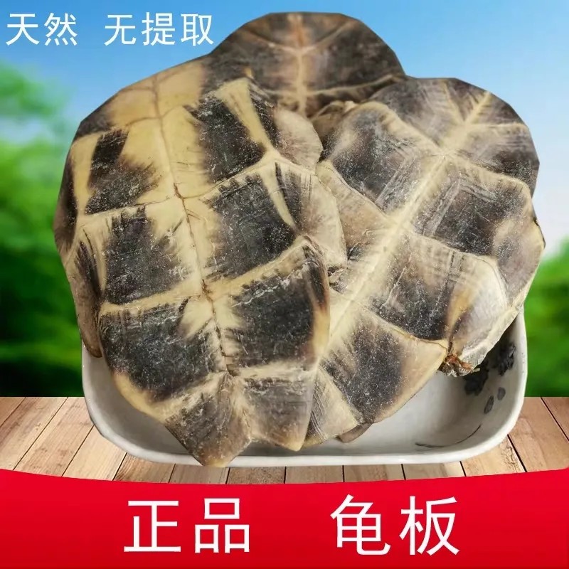 龟板中药材 生龟板 龟甲中药 无硫龟下甲龟底板正品新货
