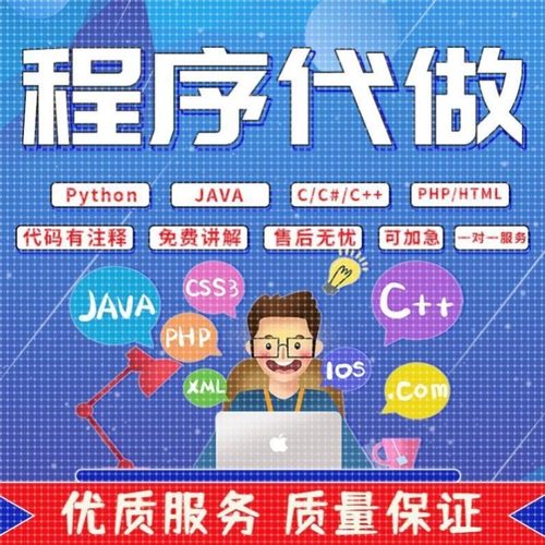 java代码编写修改python代编程计算机c语言程序开发系统设计代做