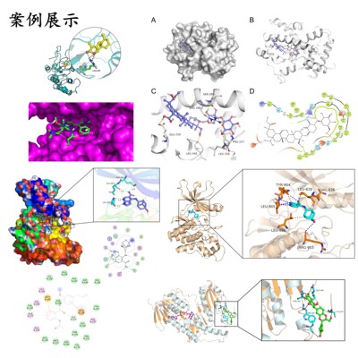 分子对接教学 互作分析 对接教学 对接指导