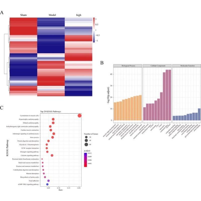 生信分析服务 TCGA/GEO 单细胞测序 转录组分析 多组学联合分析,商务/设计服务,建筑及模型设计,淘宝优惠券,粉丝福利购,淘宝优惠卷