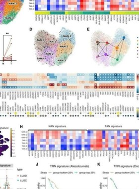 转录组数据分析RNAseq SRA数据挖掘 PCA 聚类热图 GO KEGG