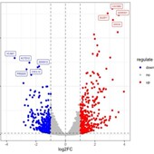 GEO数据库挖掘 R语言代做 多组火山图 差异基因分析 火山图