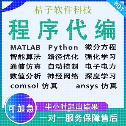 matlab代编程序Python神经网络深度机器学习通信仿真算法模型求解