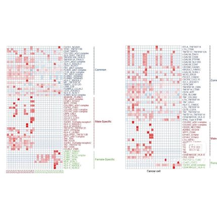 非中介生信分析单细胞转录组细胞通讯转录因子拟时均可python爬虫
