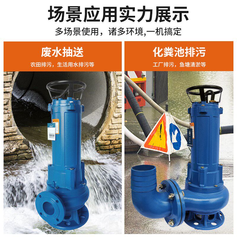 大元型相污水污物污泵工地化粪池泥浆泵堵塞大
