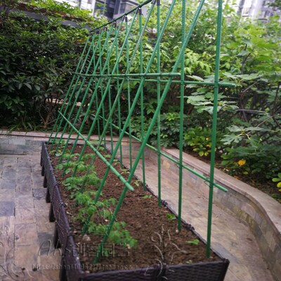 菜园爬藤架简易 豆角架黄瓜架子 花爬藤架园艺庭院植物支架瓜棚架