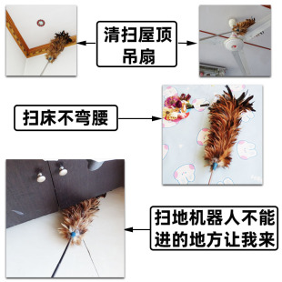 纯手工真鸡毛掸子除尘扫灰家用鸡毛毯子可伸缩鸡毛掸子商用车用