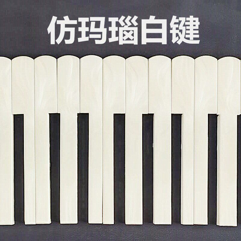 手风琴键盘配h件 代换维修 32~120贝司按键/黑键/白键 - 实物图