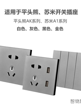 适用PTX平头熊X6苏米pK4配套86型非智能USB五孔16A墙壁开关插座