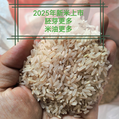 日晒老品种长江中下游胚芽籼米