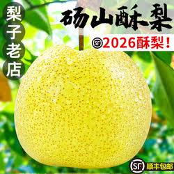 安徽正宗砀山酥梨新鲜水果当季梨子整箱特产青香梨脆雪梨整箱包邮